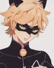 Chat Noir