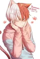 Shoto Todoroki
