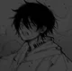 Ray tpn 