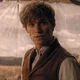 Newt Scamander 