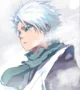 Toshiro Hitsugaya