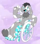 Disabled furry