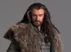 Thorin Oakenshield