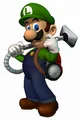 LM Luigi