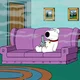 Brian Griffin