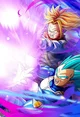 SSB Vegeta_SS Trunks