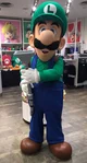 luigi mascot