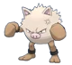 Primeape