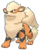 Arcanine