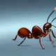Dave the Were-ant