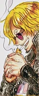 Vinsmoke Sanji