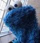 Cookie Monster