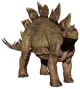 Stegosaurus