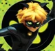 Cat Noir