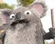 Roger the Koala