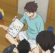 Oikawa Tooru