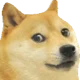 dogeOS beta