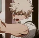 Bakugou 