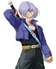 Trunks Briefs