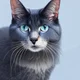 Bluestar
