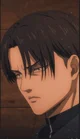 Levi Ackerman 