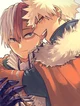 bakugo and todoroki 