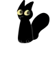 Black cat