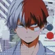 Shoto Todoroki 