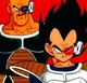 Vegeta and Nappa