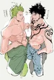 Zoro e law 