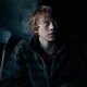 ron weasley 
