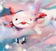 Axolotl