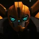 TFP Bumblebee