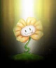 Flowey