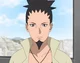 Hokage Shikamaru