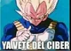 El ciber de Vegeta 