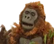 Lenny the Gorilla