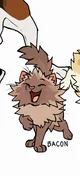 Bacon