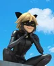 Cat noir