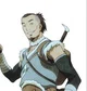 Adult Sokka