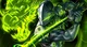 High Budget Genji