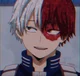 Shoto Todoroki