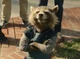 rocket racoon