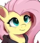 Fluttershy -Sister-