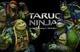 Bayverse tmnt 2016