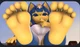 ANKHA paws