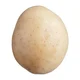 Potato