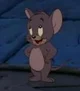 Jerry mouse