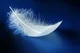 Magic Feather