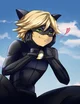 Cat Noir